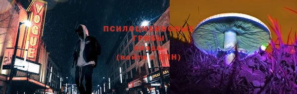 соль ск Алексеевка