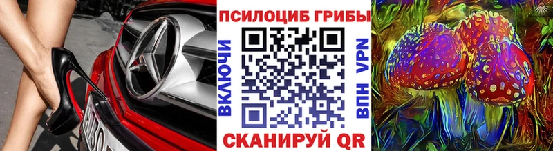 Галлюциногенные грибы Magic Shrooms  купить наркоту  omg онион  Дыгулыбгей 
